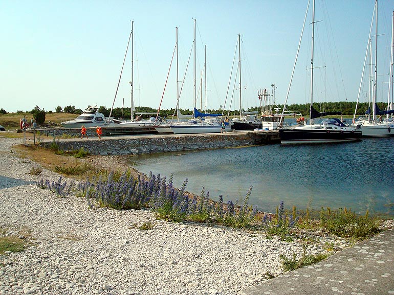 Lauterhorns hamn